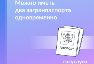 Можно ли иметь два загранпаспорта одновременно?