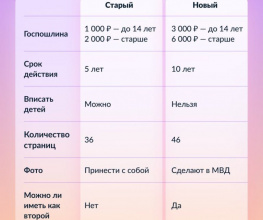  Чем отличаются загранпаспорта старого и нового образца