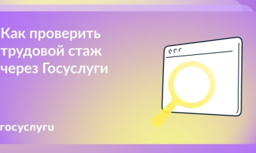 Как проверить трудовой стаж через Госуслуги