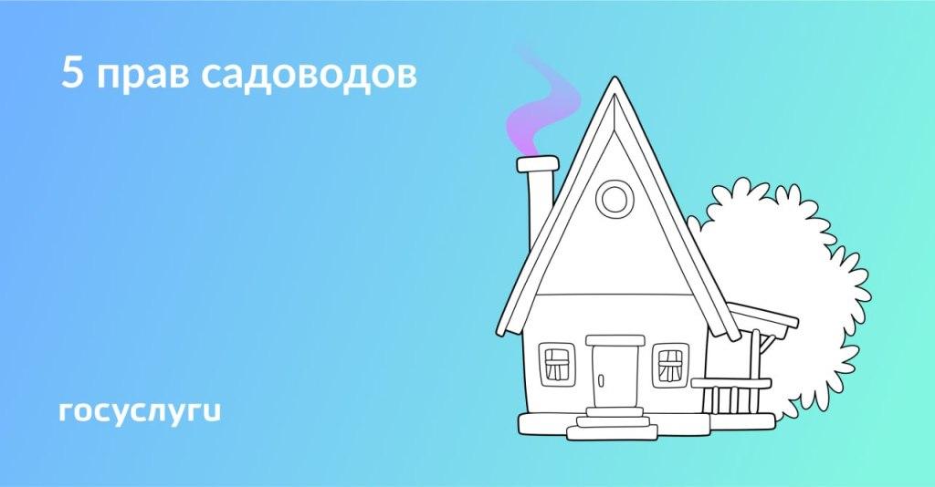 Какие права есть у дачников