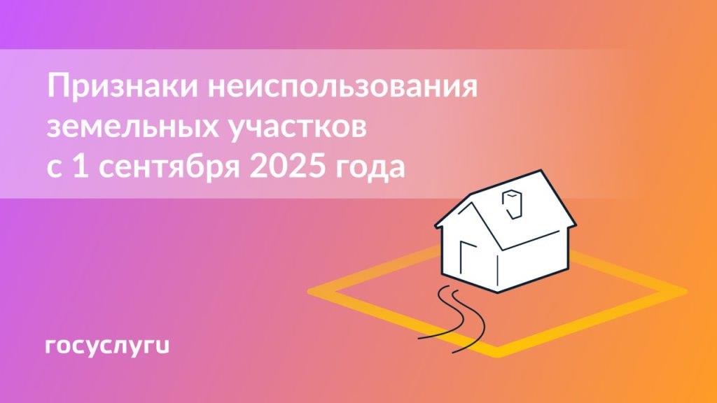 Установлены критерии неиспользования участков: что нужно учитывать  собственникам земли с 1 сентября  
