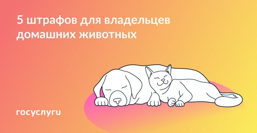 5 штрафов для владельцев домашних животных