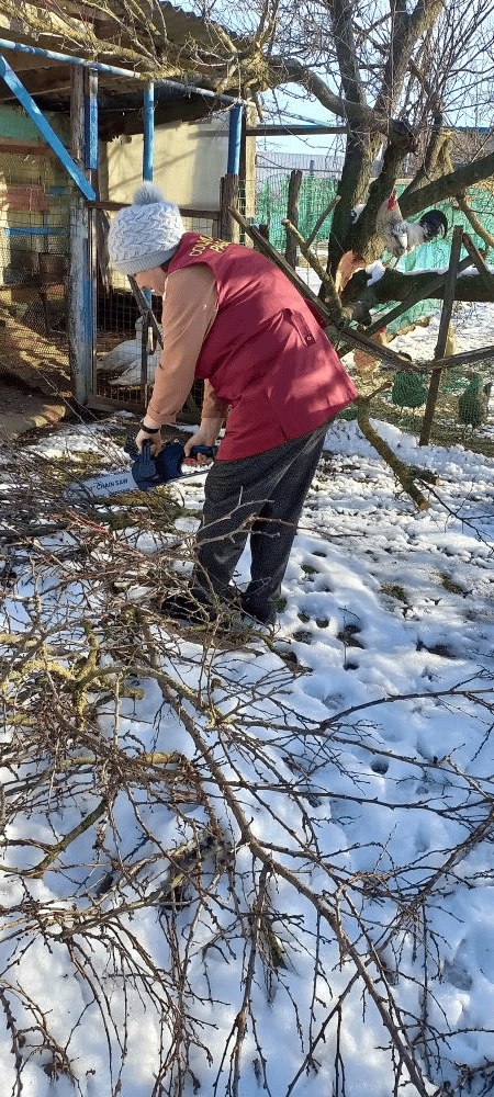 Социальное волонтерство на селе