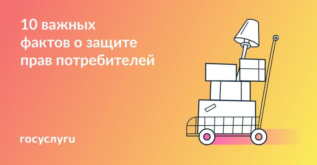 Разбили, вернули и не дождались: как потребителям защищать свои права в разных ситуациях