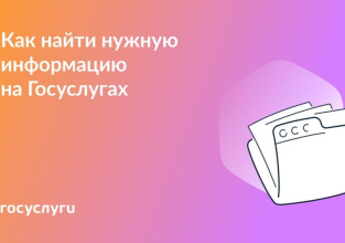  Как искать информацию на Госуслугах