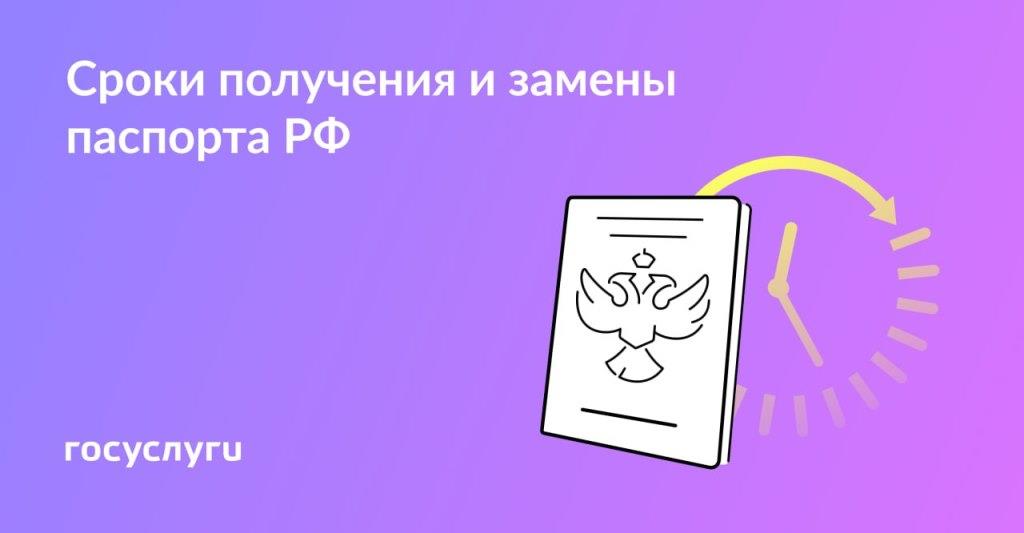 Сколько времени дается на получение и замену паспорта