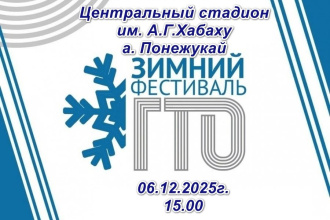  Зимний Фестиваль Всероссийского физкультурного комплекса "Готов к труду и обороне"