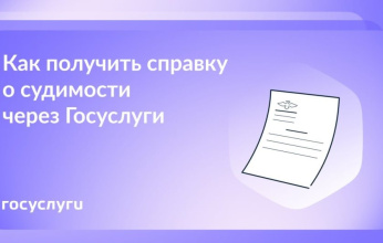 Бумажная или электронная: справку о судимости можно заказать на Госуслугах