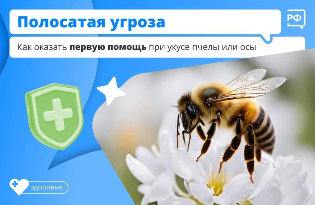 Как оказать первую помощь при укусе пчелы или осы?