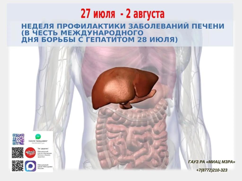 Неделя профилактики заболеваний печени: сохраните свой главный фильтр!