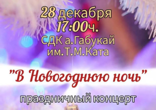Приглашаем вас на праздничный новогодний концерт!