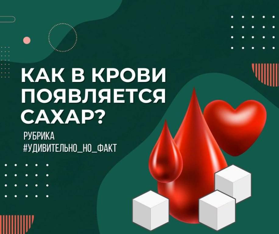 Как появляется сахар в крови?