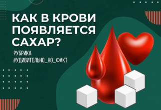 Как появляется сахар в крови?