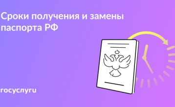 Сколько времени дается на получение и замену паспорта