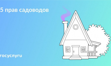 Какие права есть у дачников