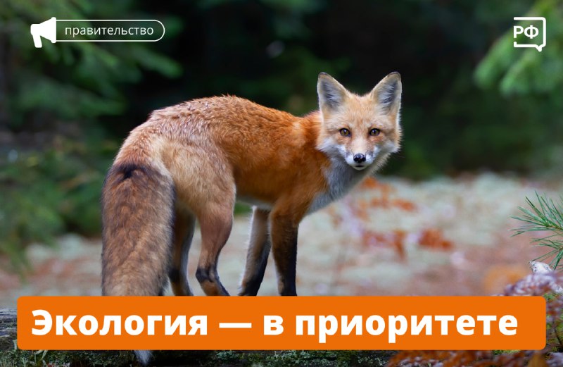 Бережное отношение к природе — это прежде всего забота о людях