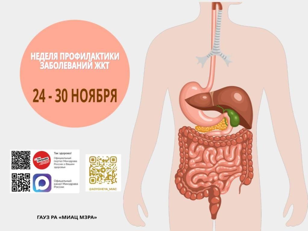 С 24 по 30 ноября Министерство здравоохранения Российской Федерации объявило Неделей профилактики заболеваний желудочно-кишечного тракта