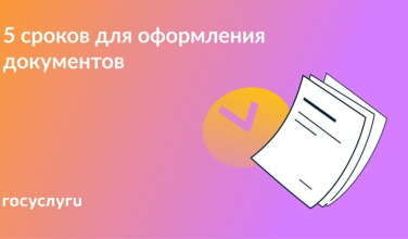  Какие сроки нужно учитывать при оформлении разных документов